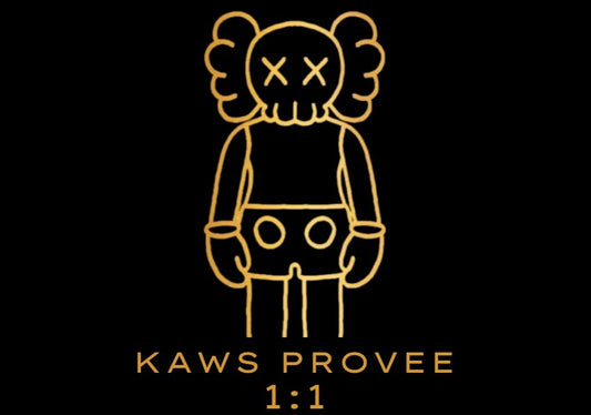 PROVEEDOR KAWS